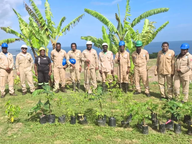 Kaizen plants trees for Environment Day