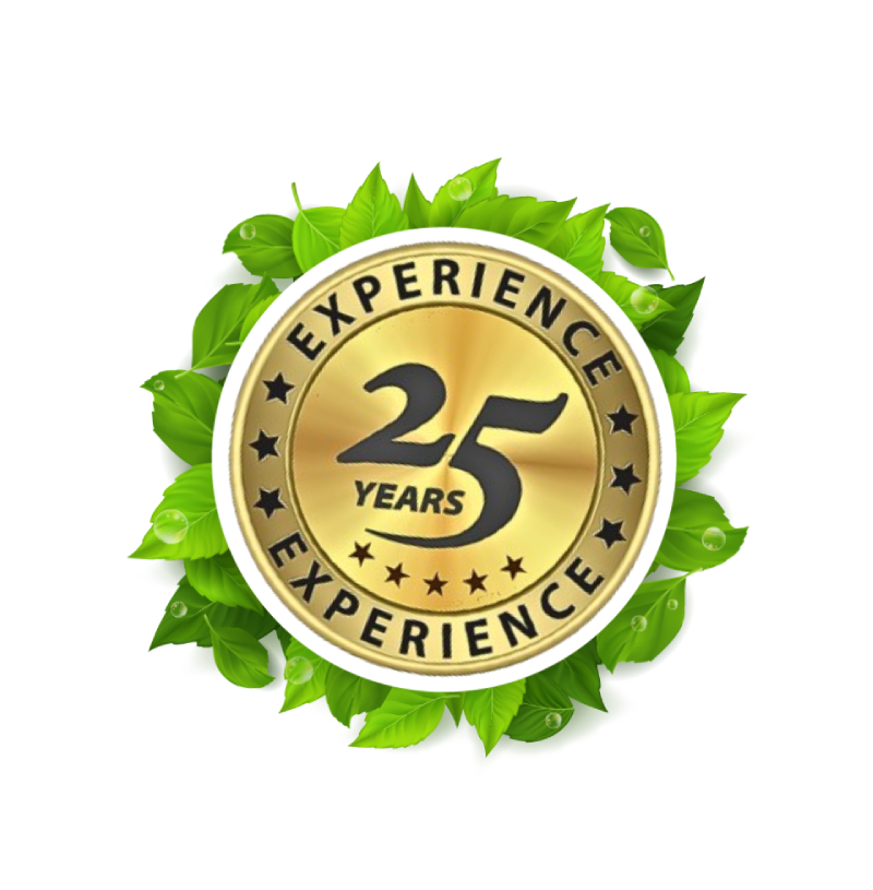 Kaizen experience